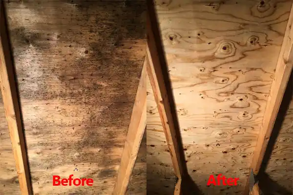 water damage restoration service Jaconita